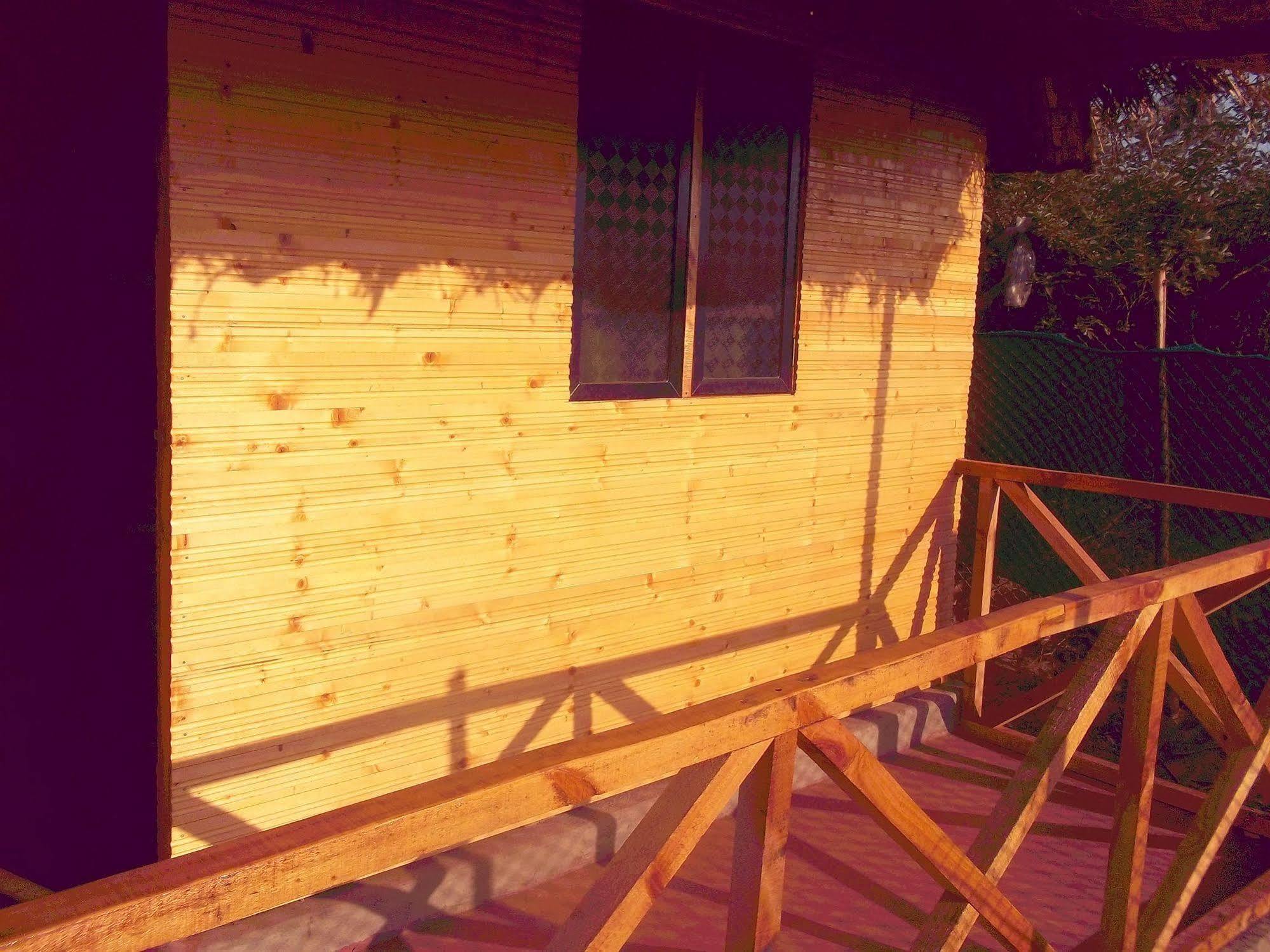 Tivai Beach Cottages 卡兰古特 外观 照片